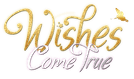 Wishes To Come True Logo